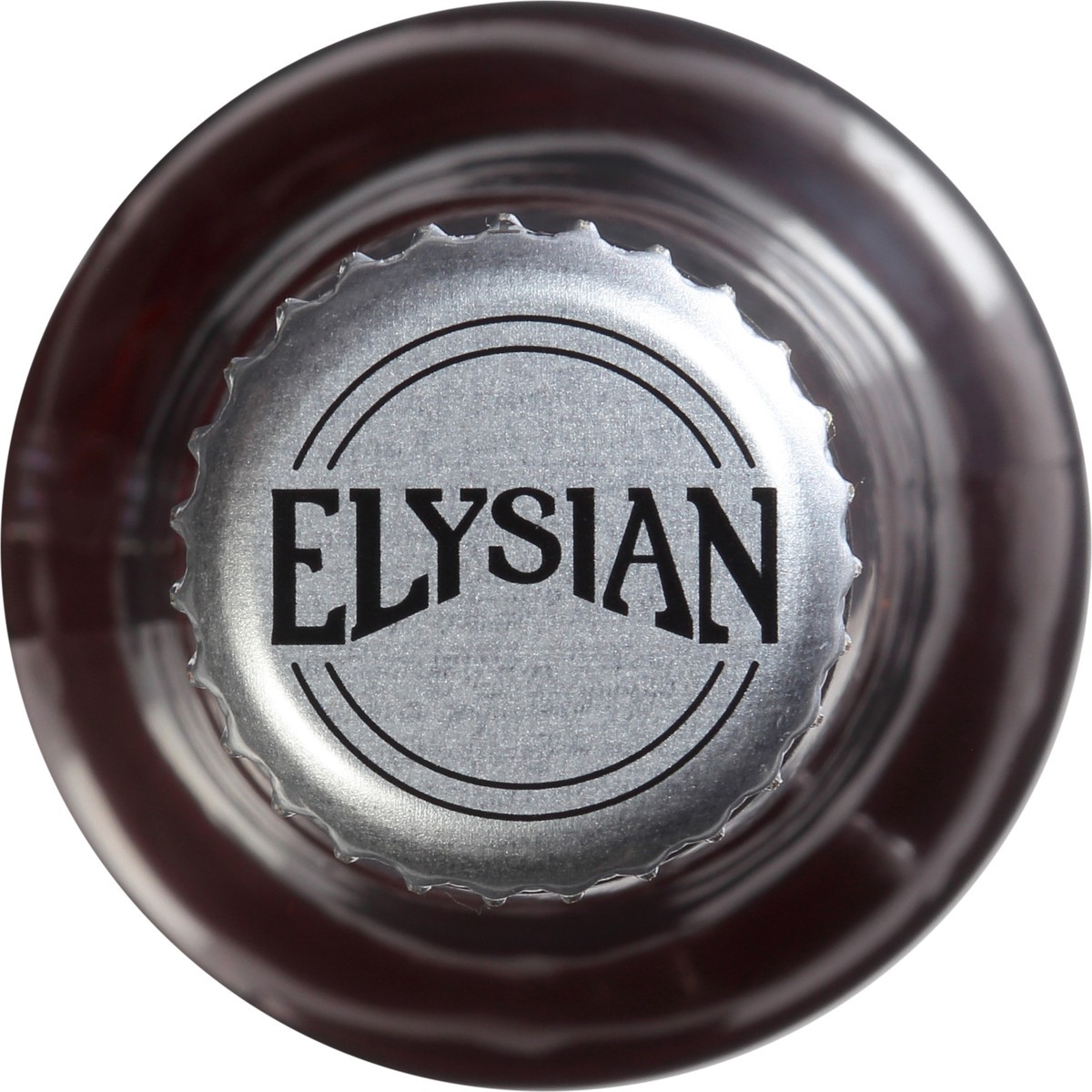 slide 8 of 9, Elysian Space Dust IPA Craft Beer 12 fl oz Bottle, 12 fl oz
