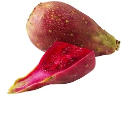 Pears Cactus