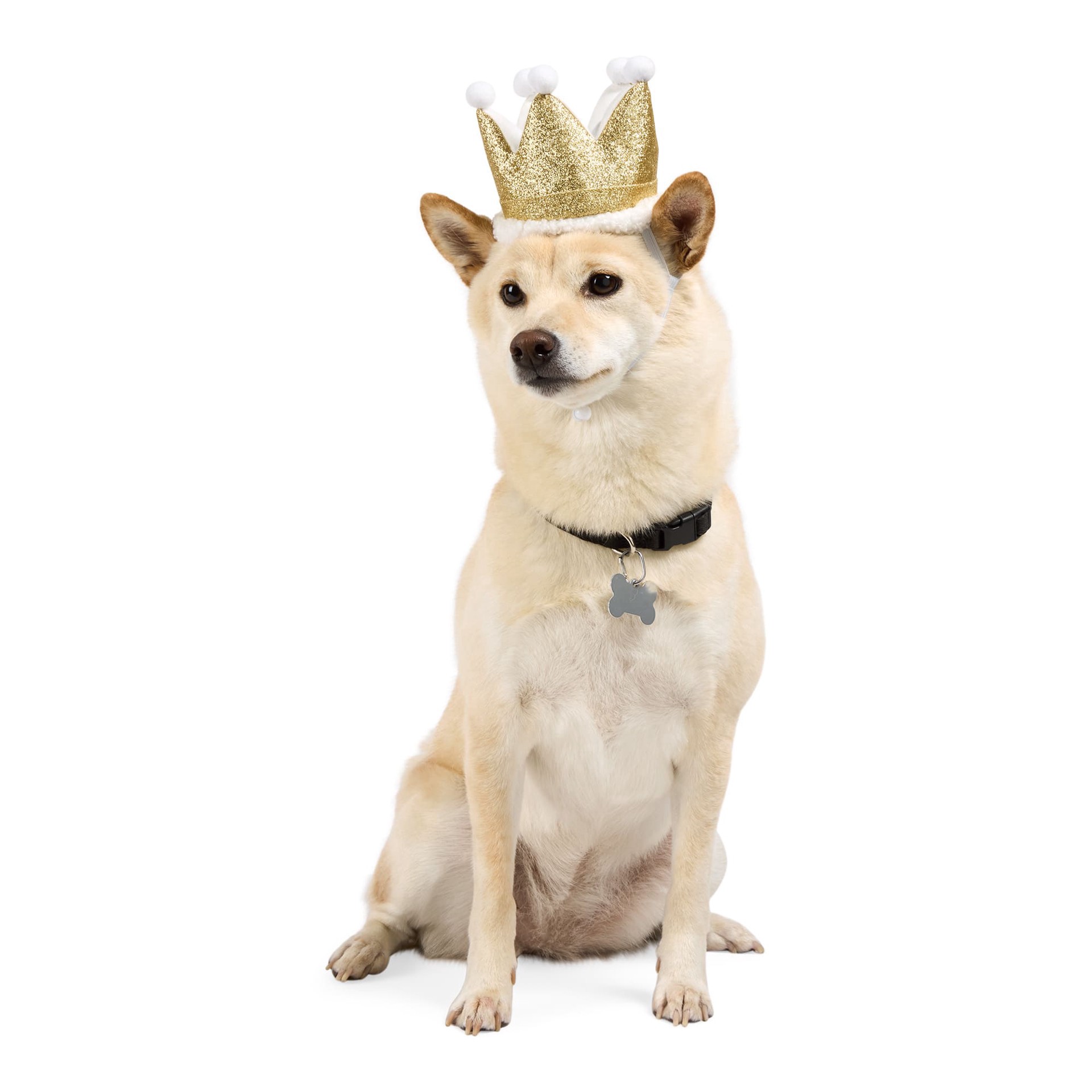slide 1 of 1, YOULY Birthday Crown Pet Hat, Sm-Med