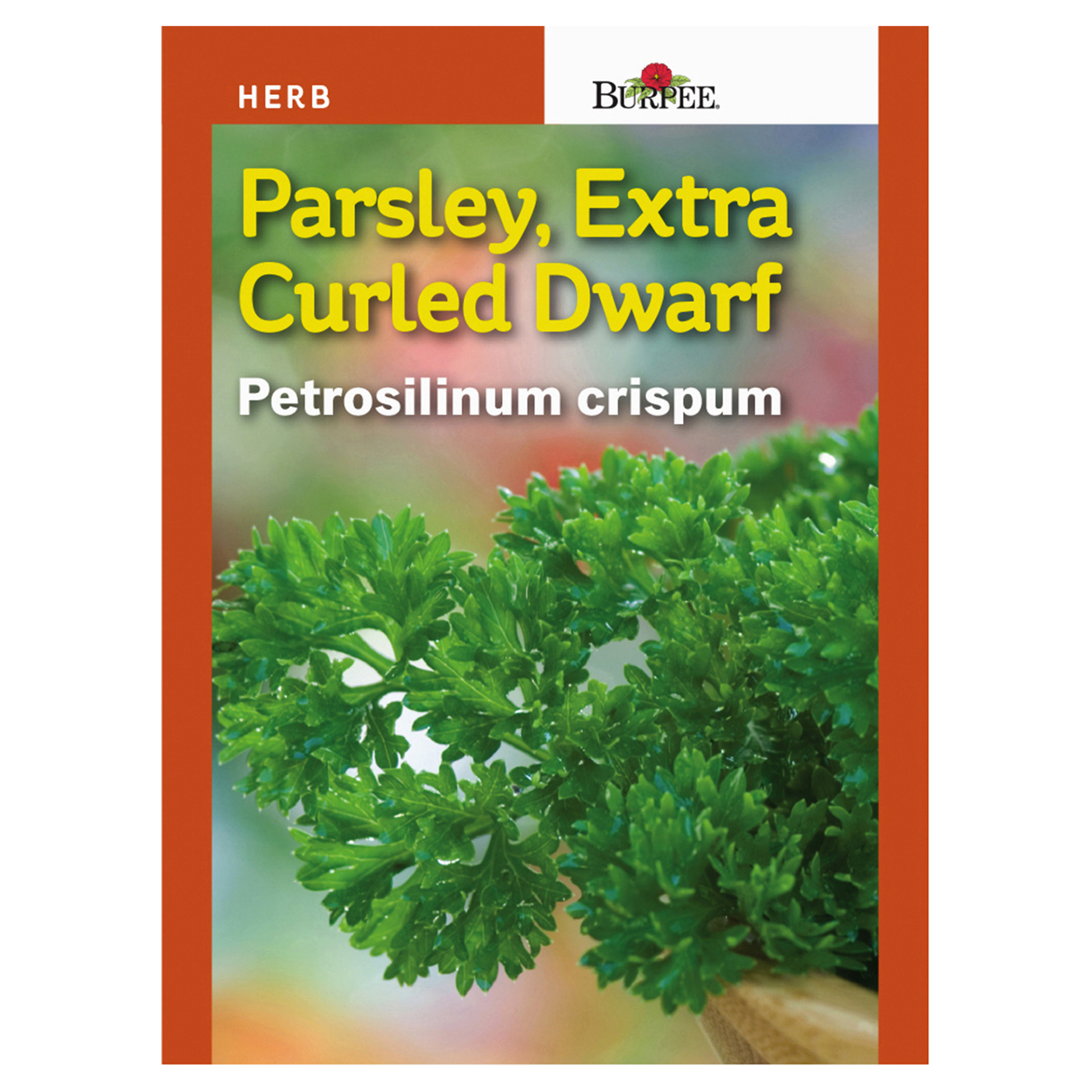 slide 1 of 1, Burpee Parsley Extra Curled Dwarf Seeds, 1 ct