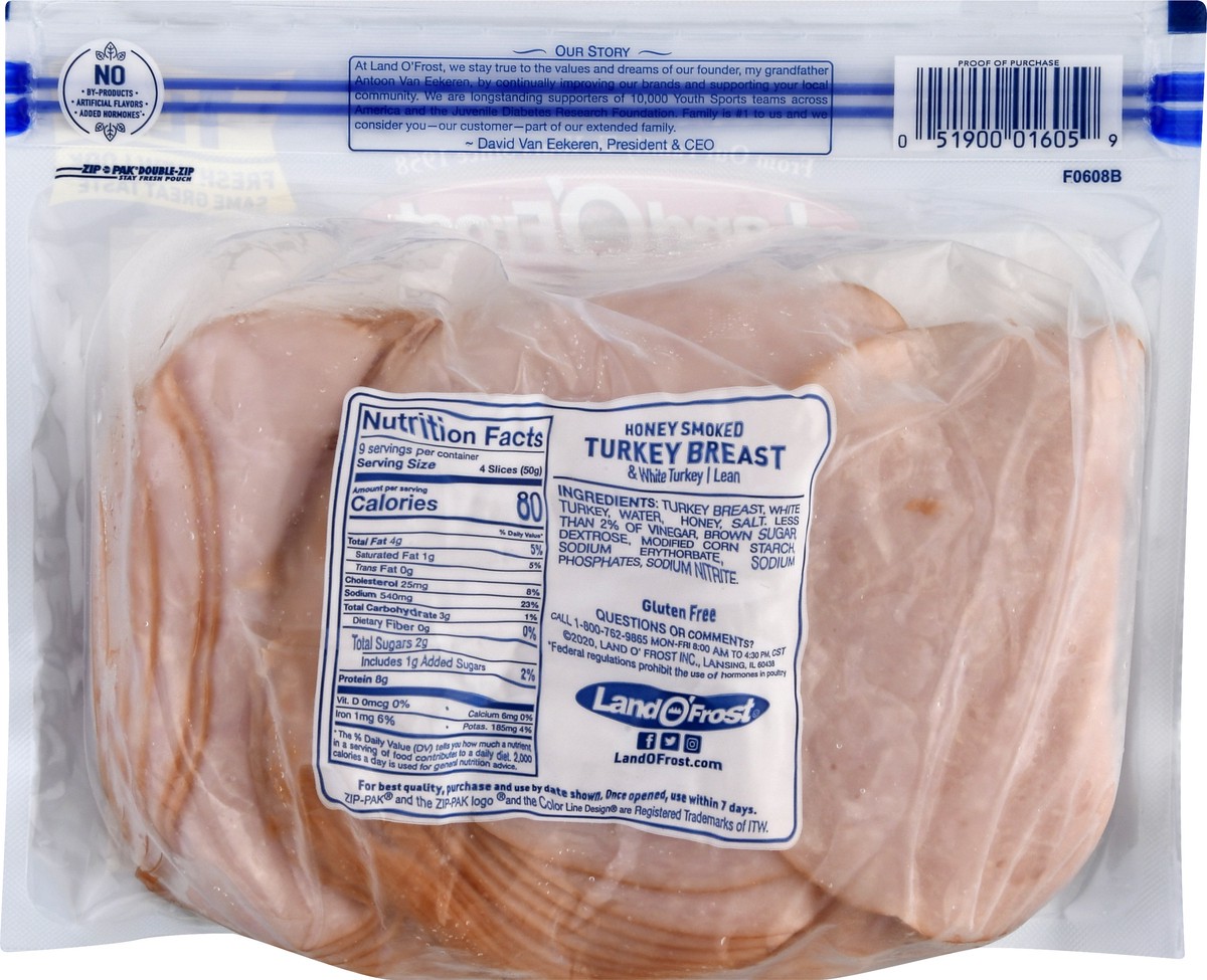 slide 9 of 9, Land O' Frost Premium Lunch Meat Honey Smoked Turkey Breast 1 lb, 16 oz