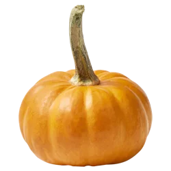 Mini Pumpkin up to 1 Lb