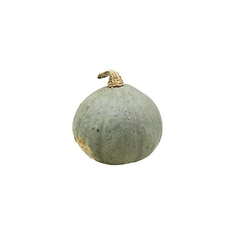 slide 1 of 1, Hubbard Squash, 1 ct
