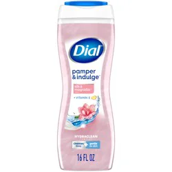Dial Pamper & Indulge Body Wash, Silk & Magnolia, 16 fl oz