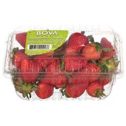 Bova Fresh Organic Strawberries 16 oz
