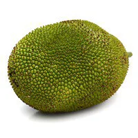 Green Jackfruit