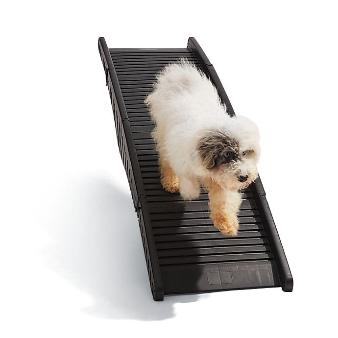 slide 1 of 4, Pawslife Folding Pet Car Ramp for Dogs, 1 ct