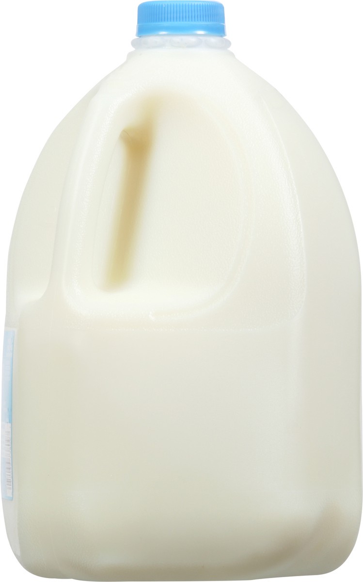 slide 8 of 13, Highland Crest Skim Fat Free Milk 1 gal, 1 gal