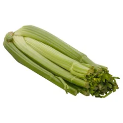 Celery