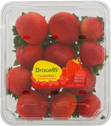 Driscoll's Sweetest Batch Strawberries