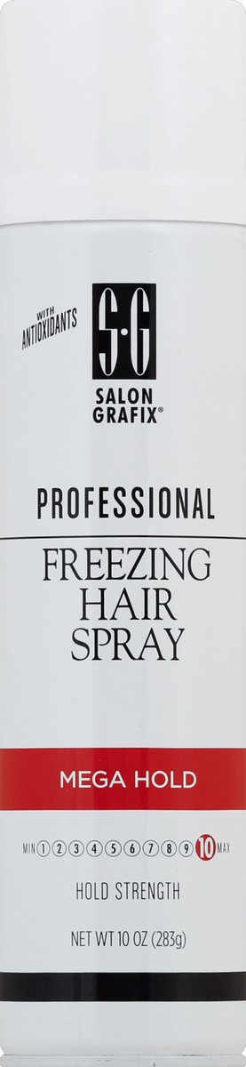 slide 1 of 6, Salon Grafix Professional Mega Hold Freezing Hair Spray, 10 oz