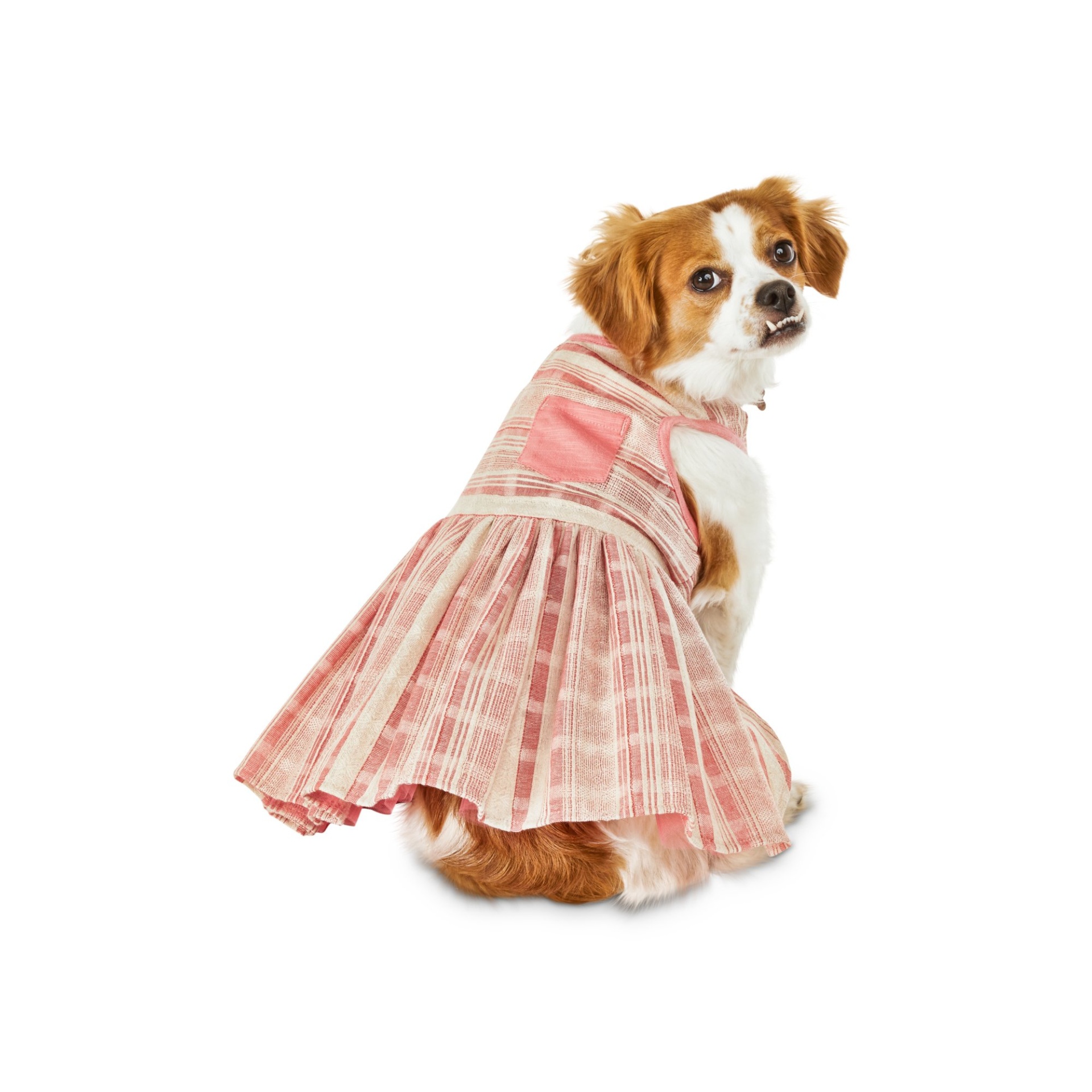 slide 1 of 1, Bond & Co. Woven Pink Stripe Dog Dress, MED