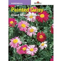 Burpee Perennial Daisy Painted Mix Seeds