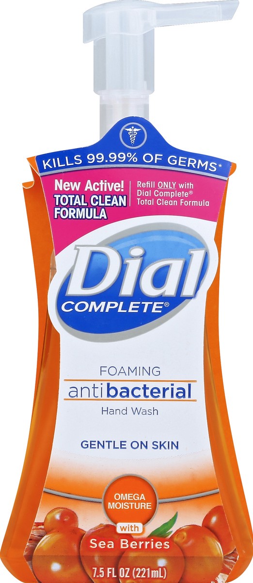 slide 5 of 6, Dial Complete Antibacterial Foaming Hand Wash, Silk & Seaberry, 7.5 fl oz, 7.50 fl oz