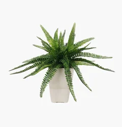 Artificial Fern in Pot - Green - 15.7 in