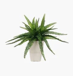 Artificial Fern in Pot - Green - 15.7 in
