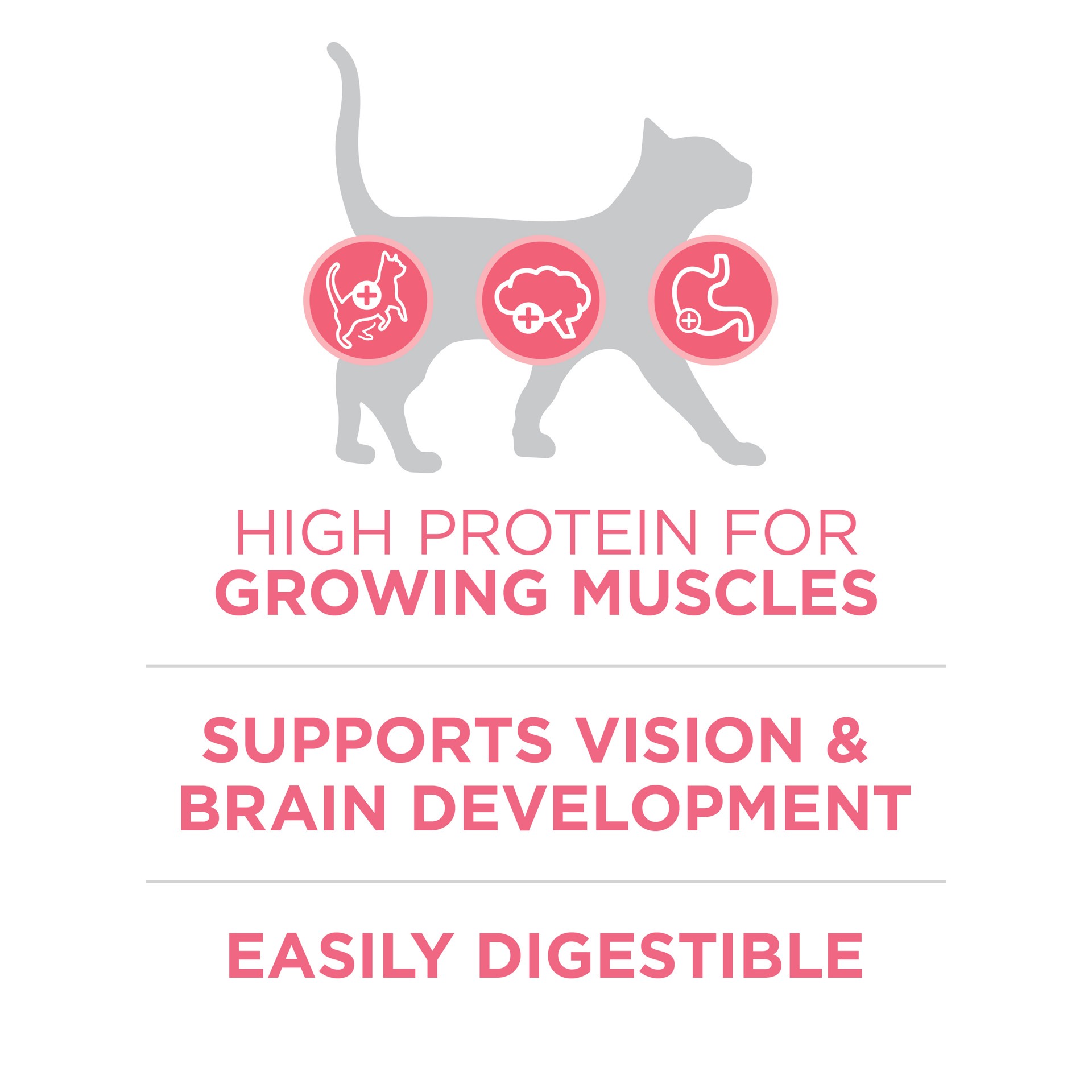 slide 6 of 9, Purina ONE High Protein, Natural Dry Kitten Food, +Plus Healthy Kitten Formula - 3.5 lb. Bag, 56 oz