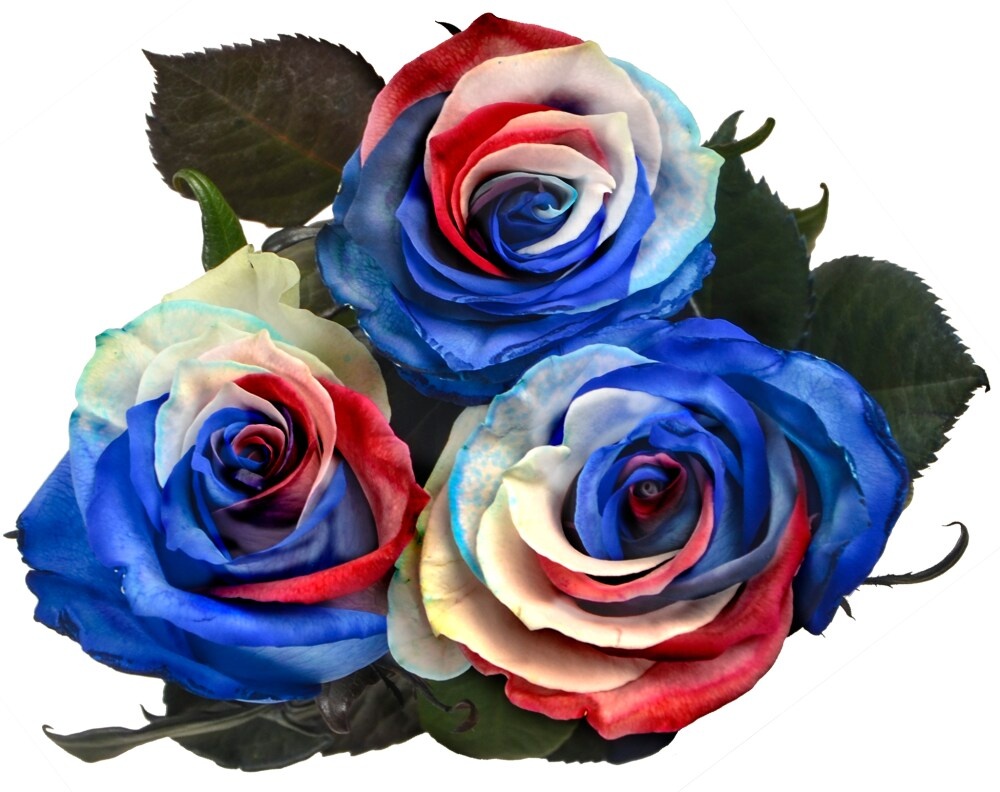 slide 1 of 1, Party Roses - Red/White/Blue, 3 ct