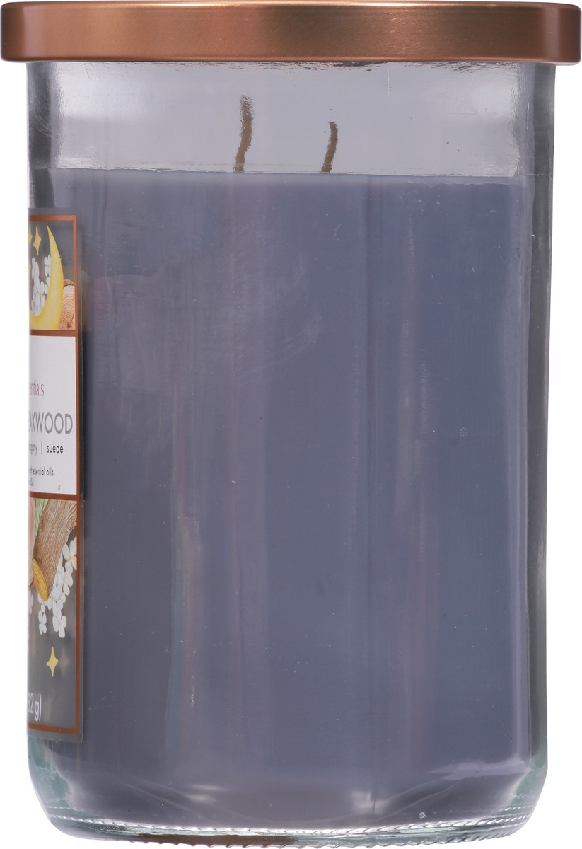 slide 5 of 11, Candle Essentials Moonlit Teakwood Candle 1 ea, 1 ct