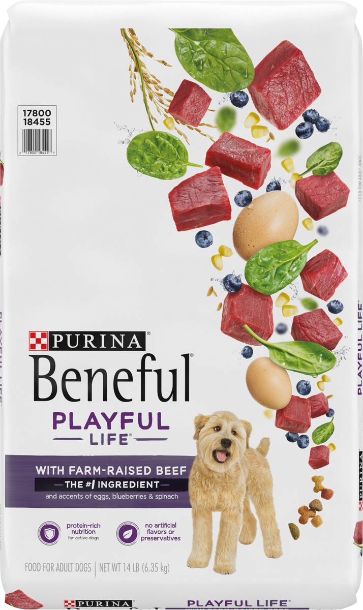 slide 2 of 9, Beneful Purina Beneful Playful Life With Farm-Raised Beef Dry Dog Food, 14 lb