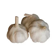 Garlic Bulbs