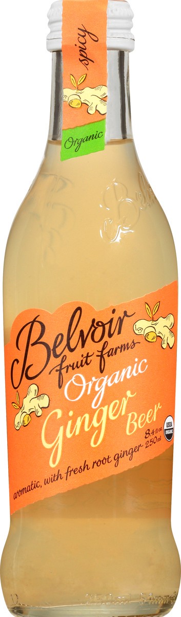 slide 13 of 13, Belvoir Organic Spicy Ginger Beer - 8.4 oz, 8.4 oz