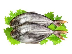 Fish-Whole American Butterfish