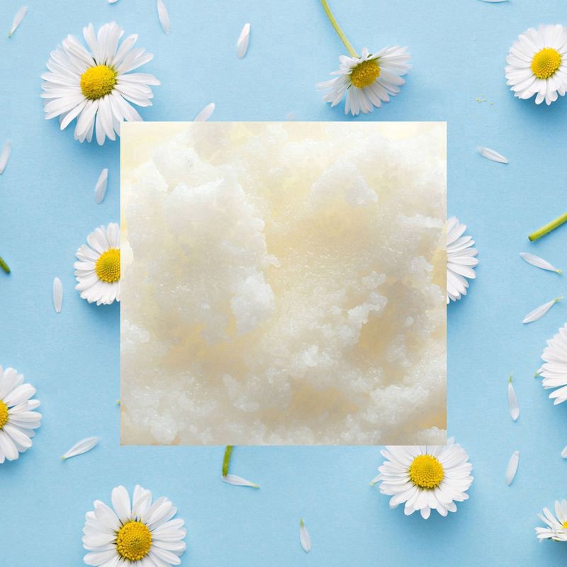 slide 7 of 8, Raw Sugar Kids Shampoo & Condition - Fragrance Free, 12 fl oz