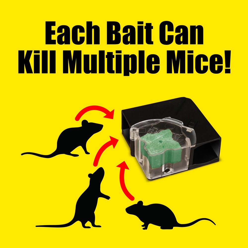 slide 2 of 3, d-Con Mice Bait Station, 1 ct