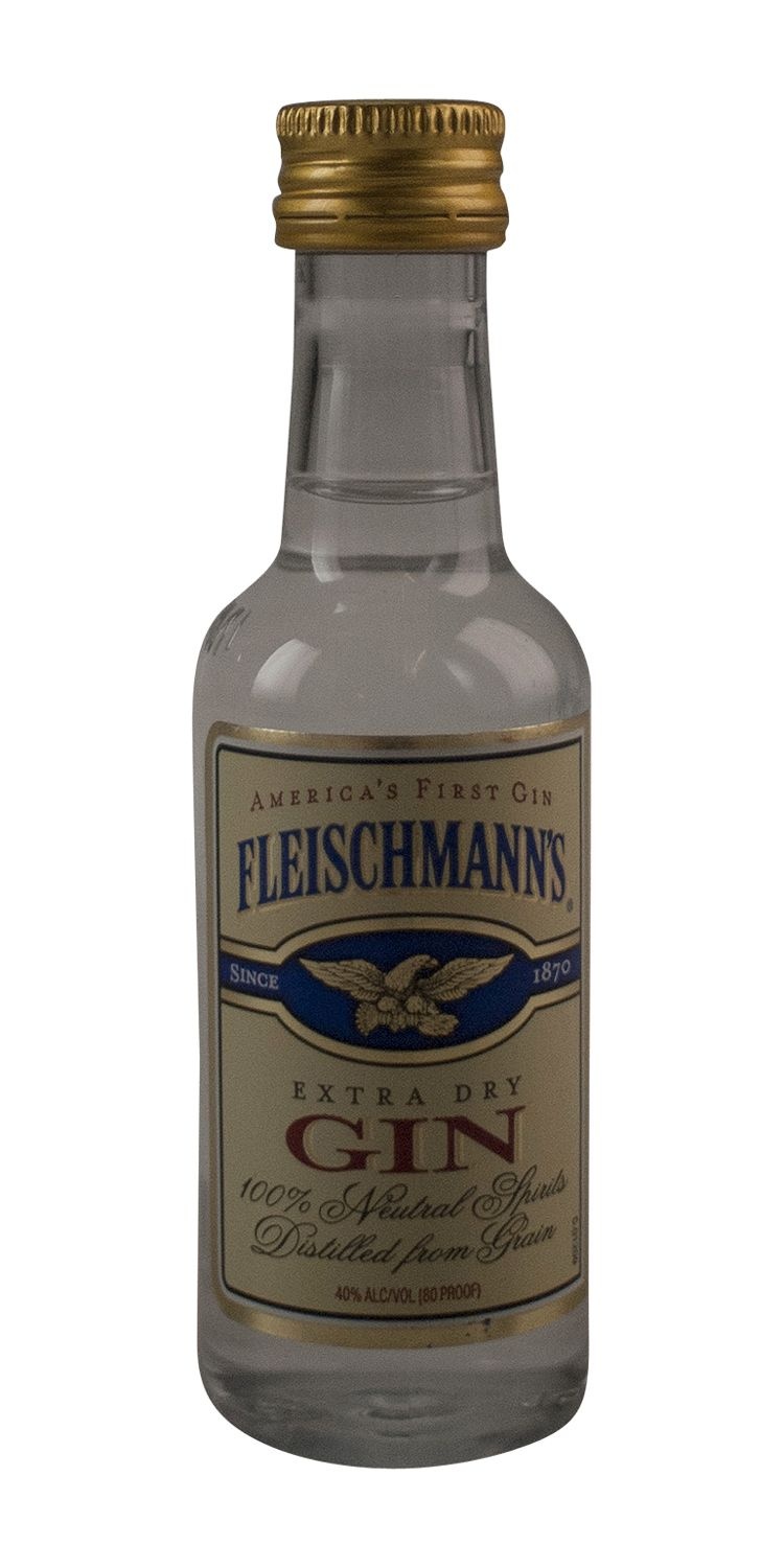 slide 1 of 1, Fleischmann's Gin, 50 ml