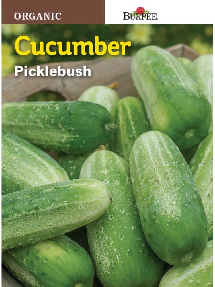 slide 1 of 1, Burpee Picklebush Organic Cucumber Seeds - Green, 1 ct