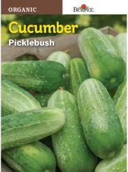 Burpee Picklebush Organic Cucumber Seeds - Green
