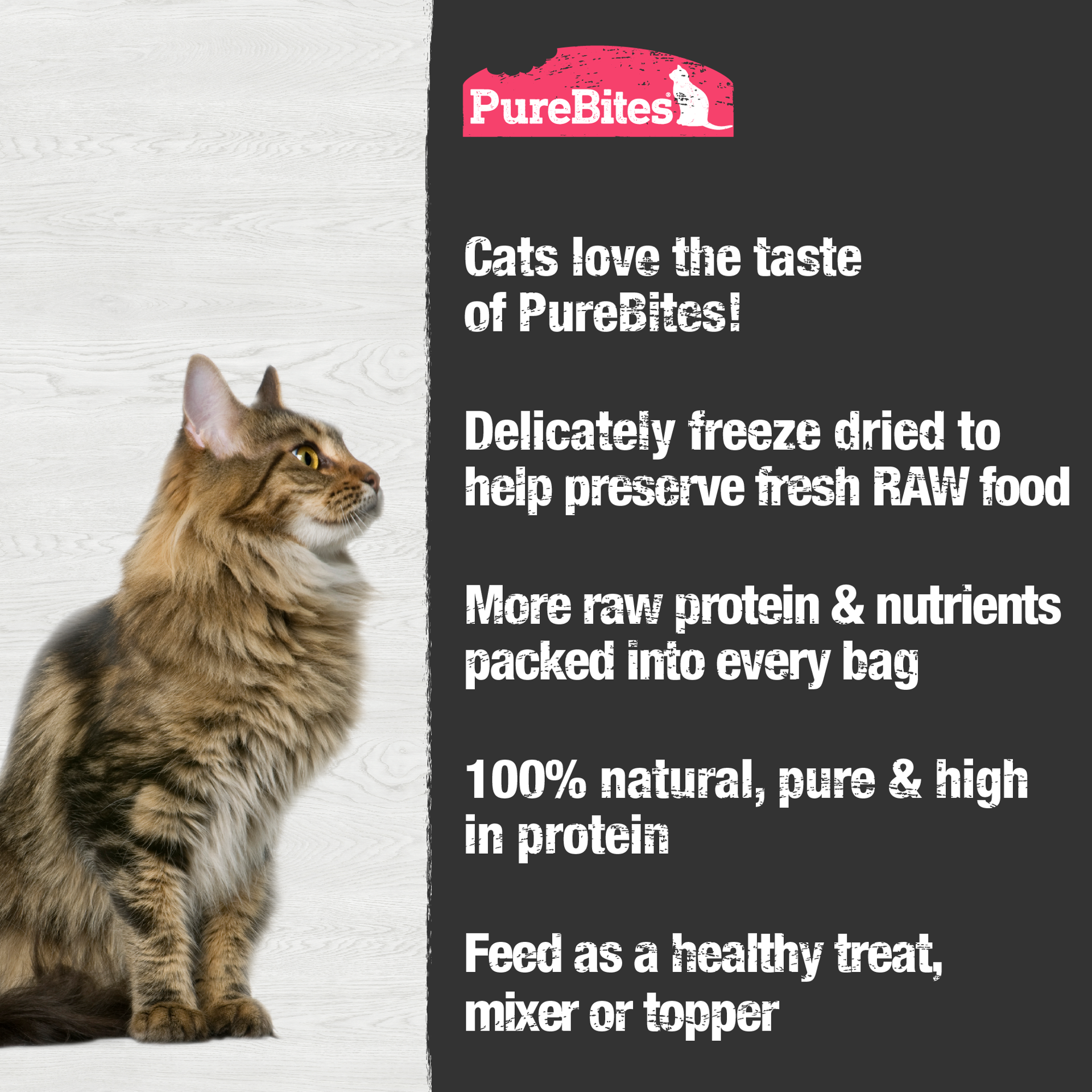 slide 5 of 5, PureBites Freeze Dried Shrimp Cat Treats 11g | 1 Ingredient | Made in USA, 11 g