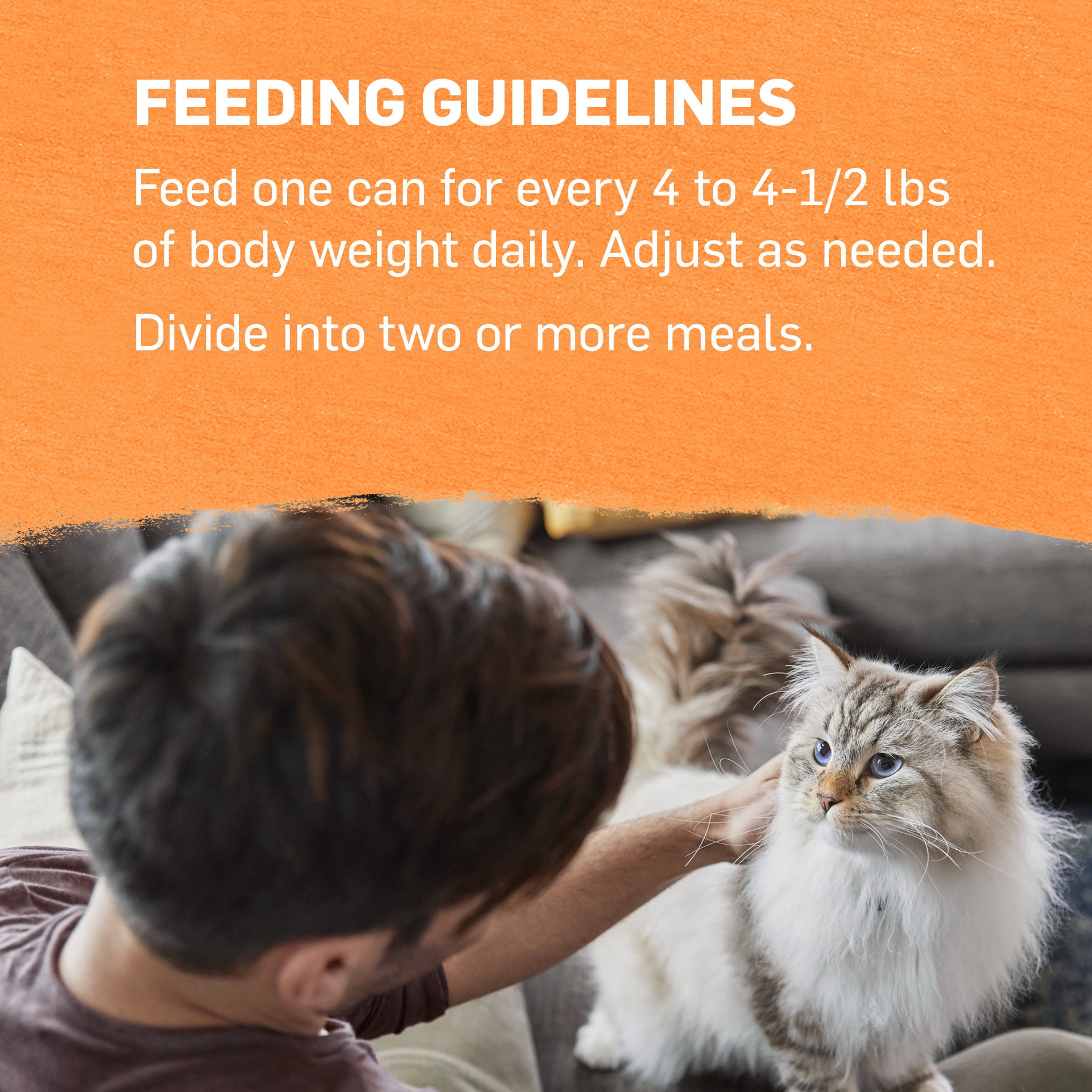 slide 6 of 9, Beyond Purina Beyond Organic Wet Cat Food Pate, Organic Chicken & Carrot Adult Recipe, 3 oz