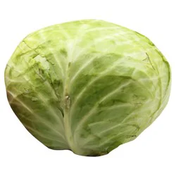 Organic - Cabbage - Green