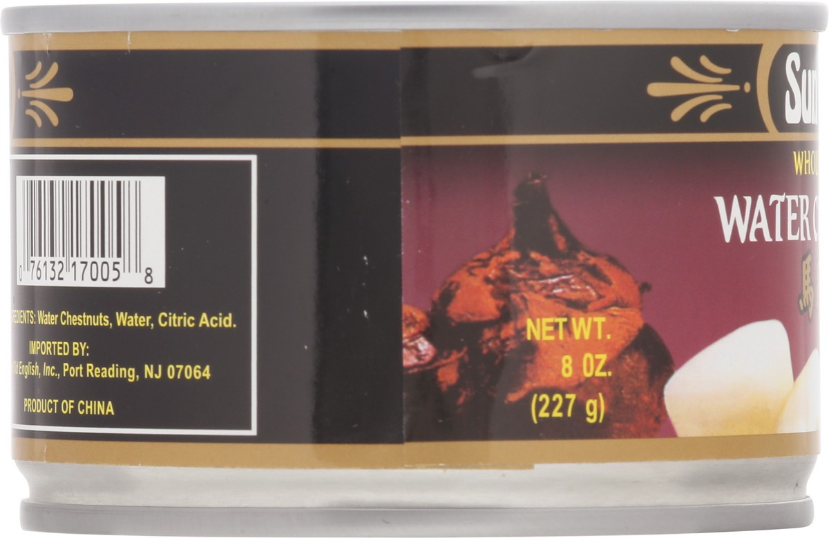 slide 7 of 14, Sun Luck Whole Peeled Water Chestnuts 227 g, 227 g
