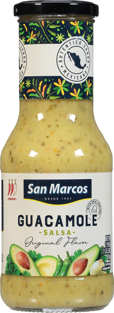 slide 4 of 9, Blank Guacamole Salsa, 10.9 oz