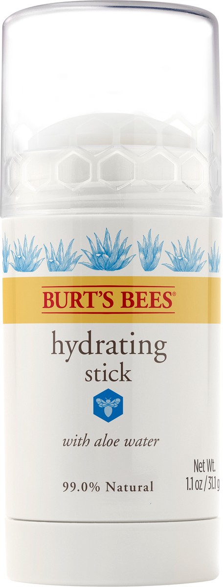 slide 3 of 3, Burt's Bees Burts Bees Hydratng Moisturzr, 1 ct