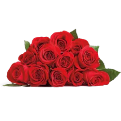 12 Stem Rose Bouquet