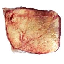 Excel 13#Up Ch Top Sirloin Butt