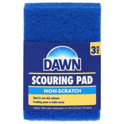 Dawn Non-Scratch Scouring Pad