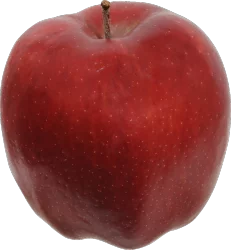 Large Organic Red Delicious Apples