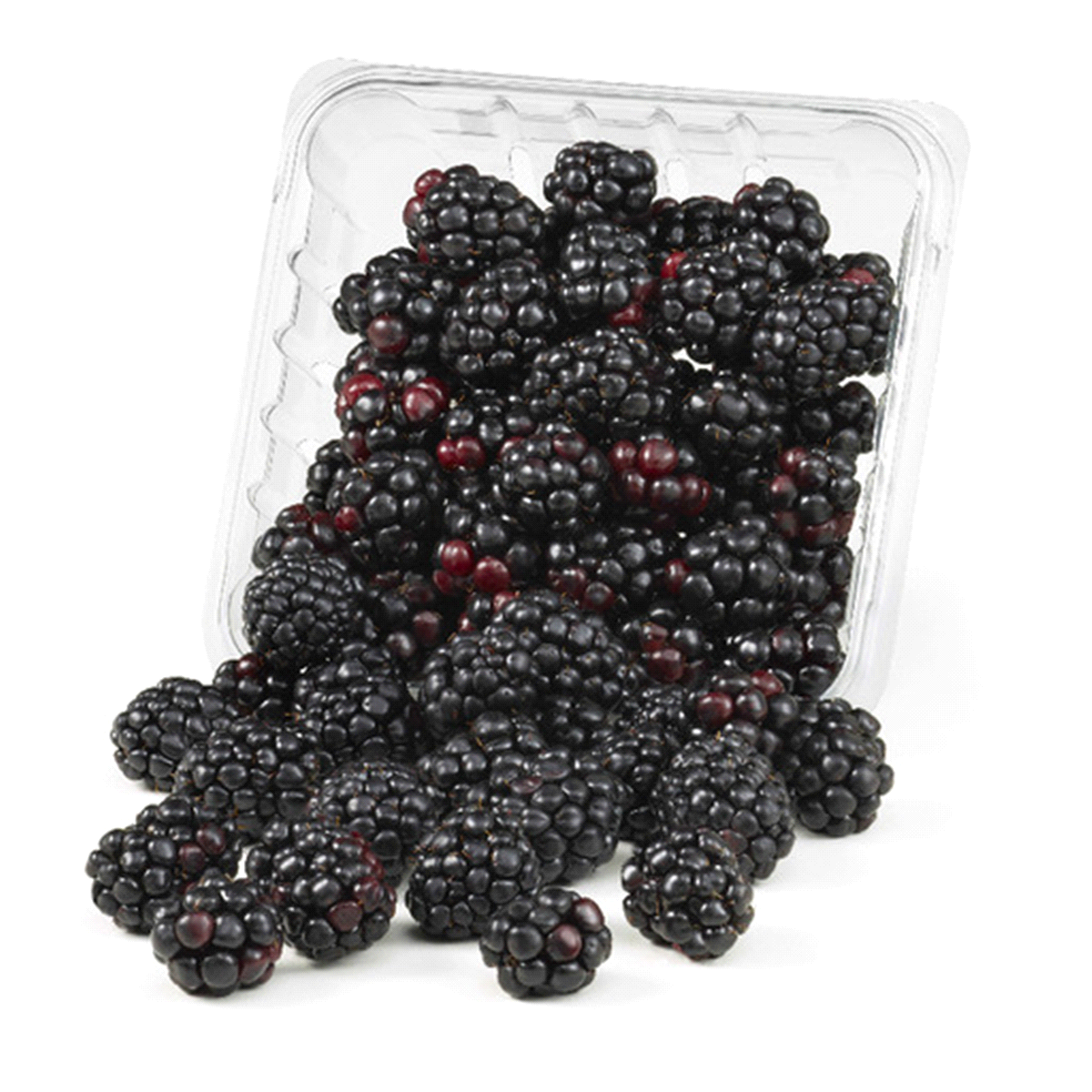 slide 1 of 1, Blackberry Blackberries, 6 oz