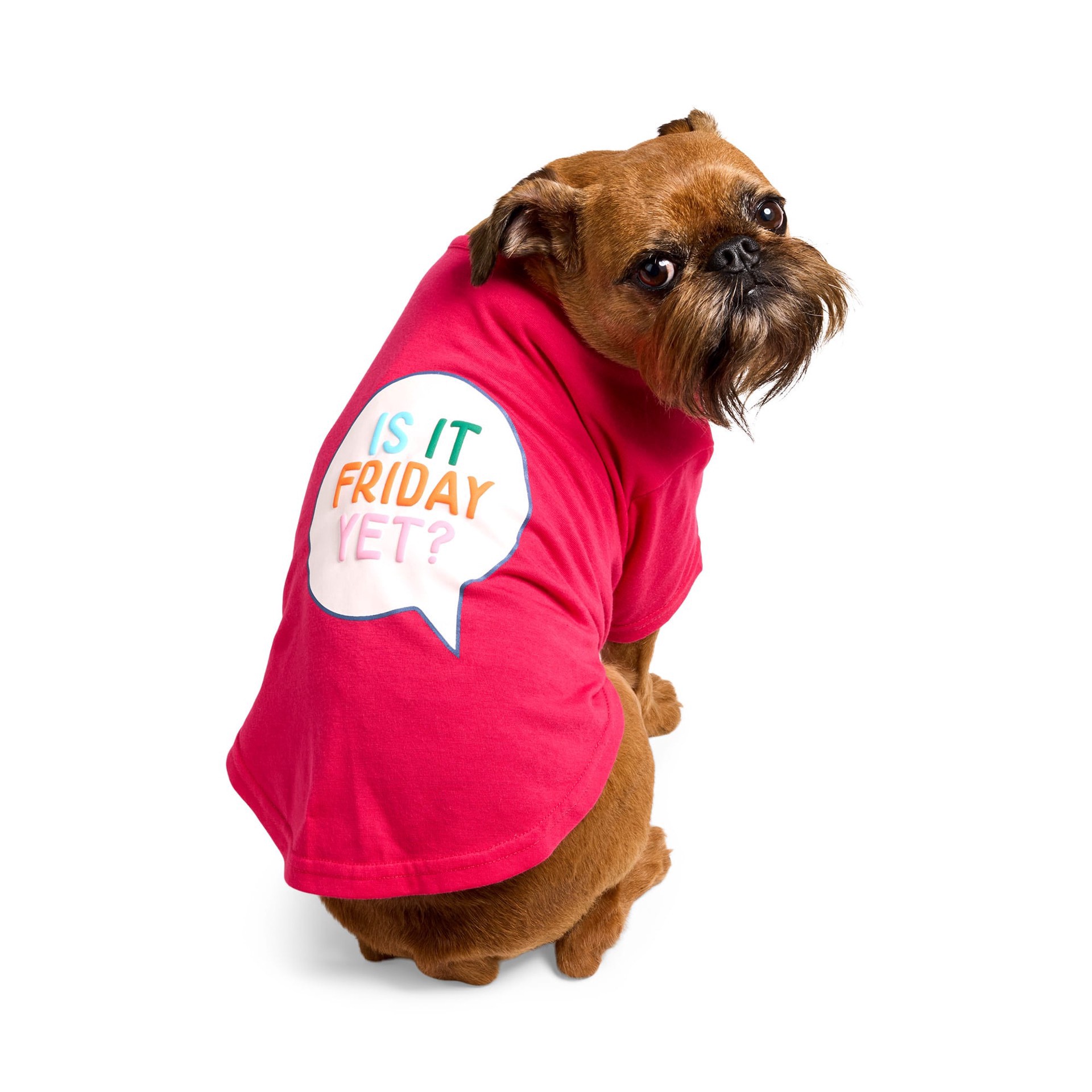 slide 1 of 1, YOULY Is It Friday Yet Pet T-Shirt, X-Small, x-small