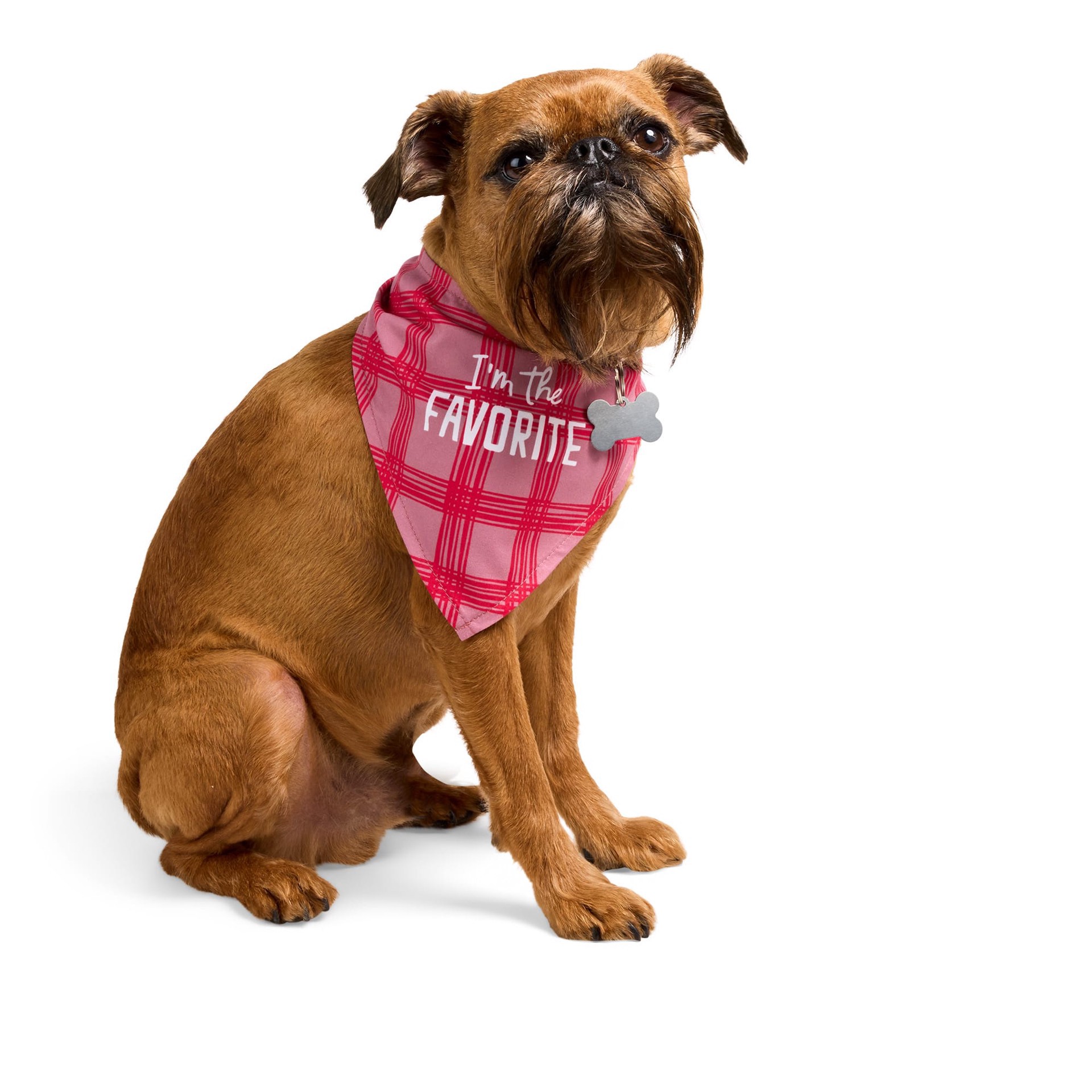 slide 1 of 1, YOULY I'm the Favorite Plaid Dog Bandana, X-Small/Small, 1 ct