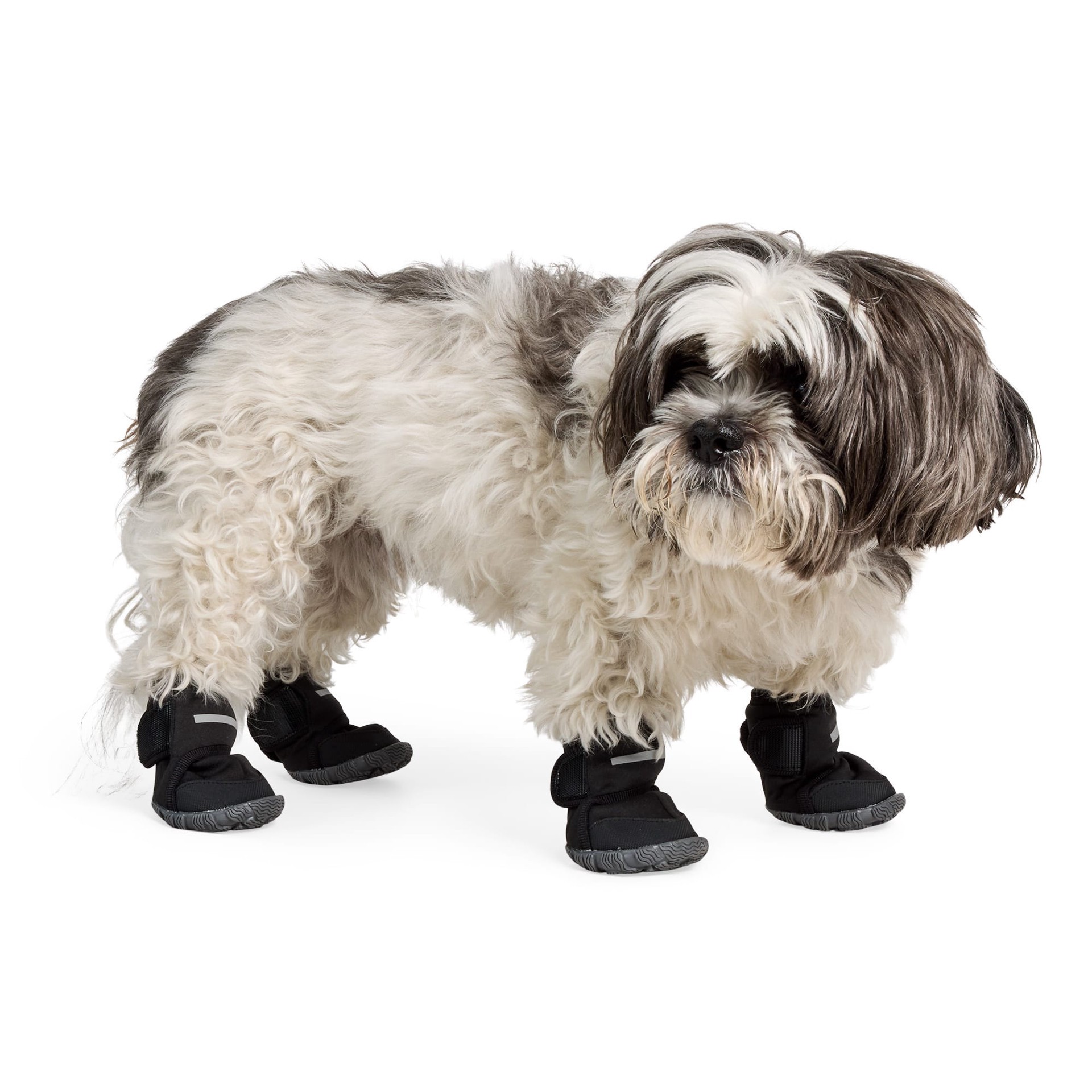 slide 1 of 1, YOULY All-Weather Wrap Dog Boot, Small, SM