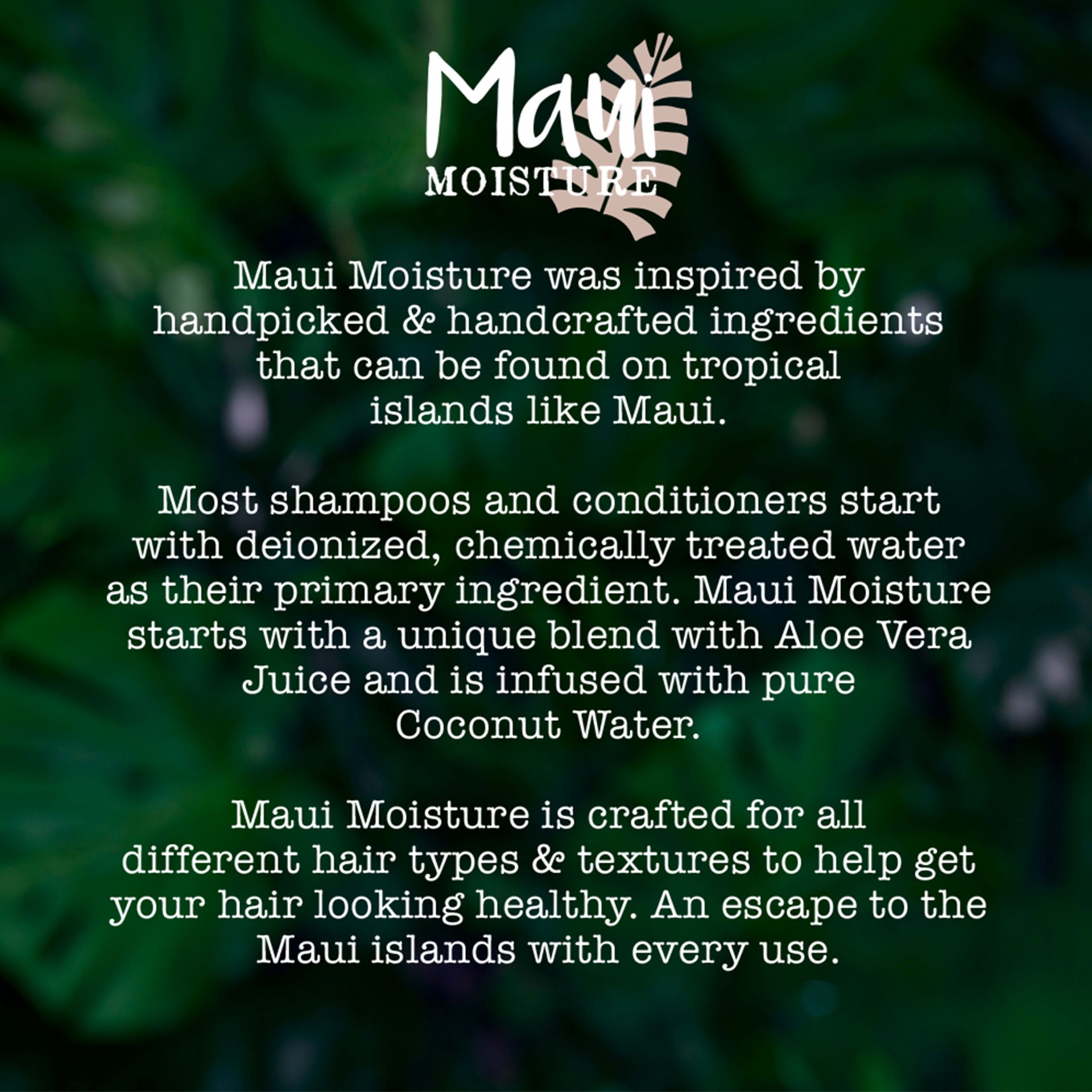 slide 2 of 5, Maui Moisture Detoxifying + Volcanic Ash Shampoo, 13 Oz, 13 oz