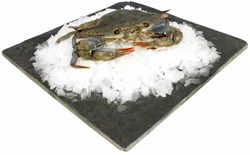 Fresh Soft Shell Crabs
