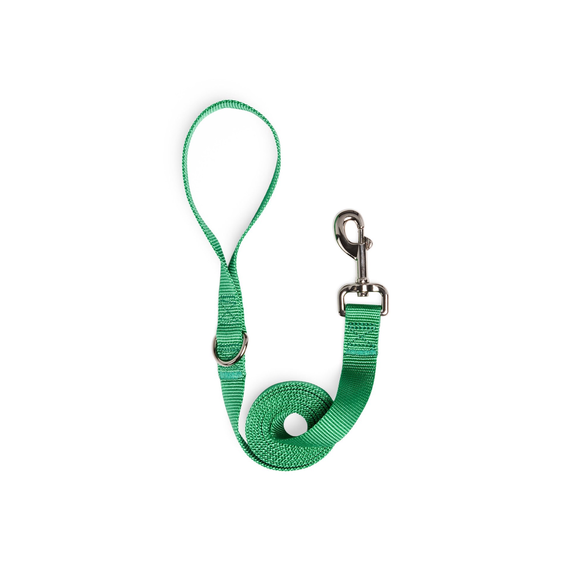 slide 1 of 1, YOULY 1-in x 6-ft Dog Leash, MED