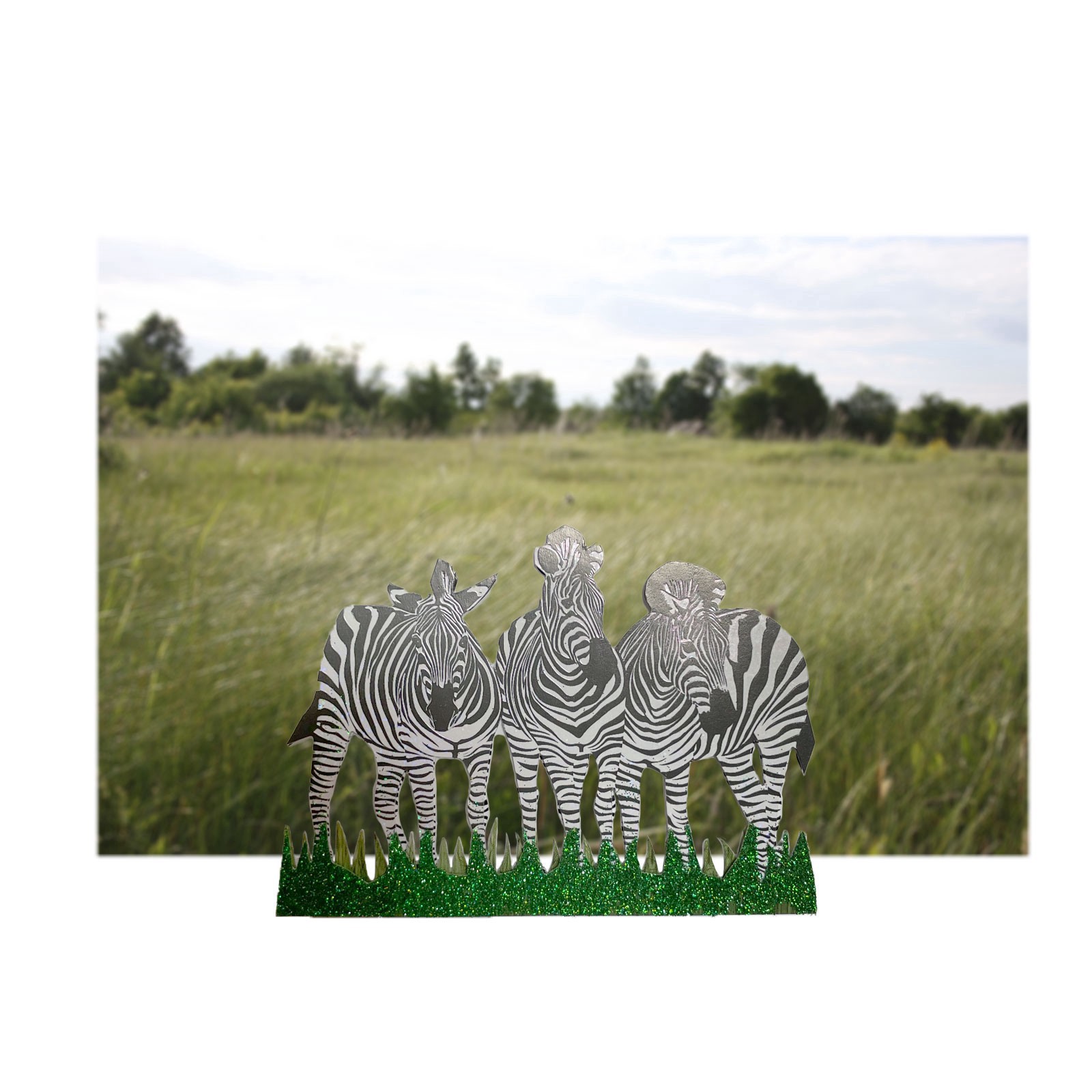 slide 2 of 4, Zebra Stickers By Recollections, 3.875 in x 6.875 in